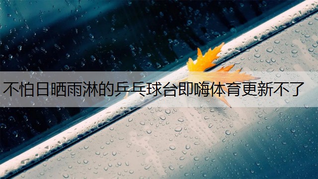 <strong>不怕日晒雨淋的乒乓球台即嗨体育更新不了</strong>