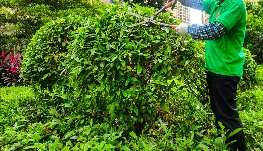 米乐：网球拍如何防止缠线打结