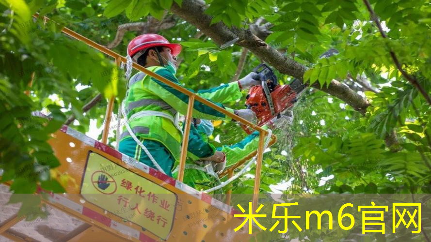 mile米乐m6官网：多元文化，市政绿化景观草坪设计展示城市文化特色！