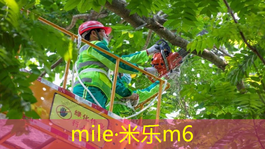 网球拍平衡型怎么选好