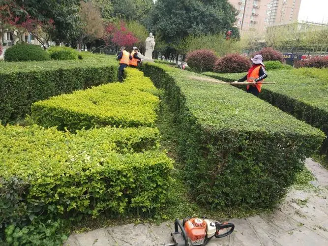 运动造型网球拍怎么样的
