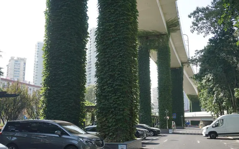 畅游户外，留住美好回忆！室外体育健身器材全套助你开启新篇章