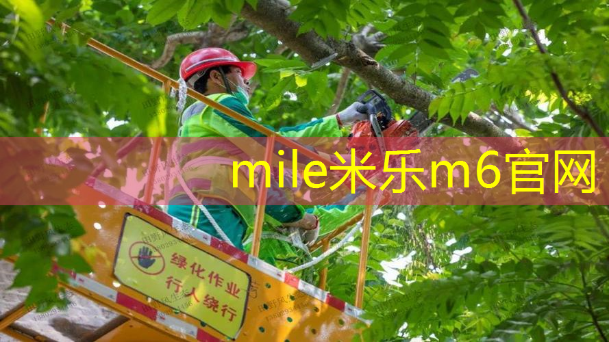 乒乓球台的底线是哪个部分